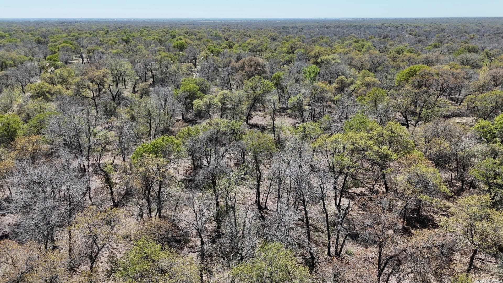 10.16 acres in Atascosa County - photo 3