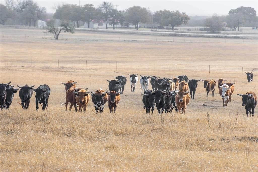 31.78 acres in Comanche County - photo 7