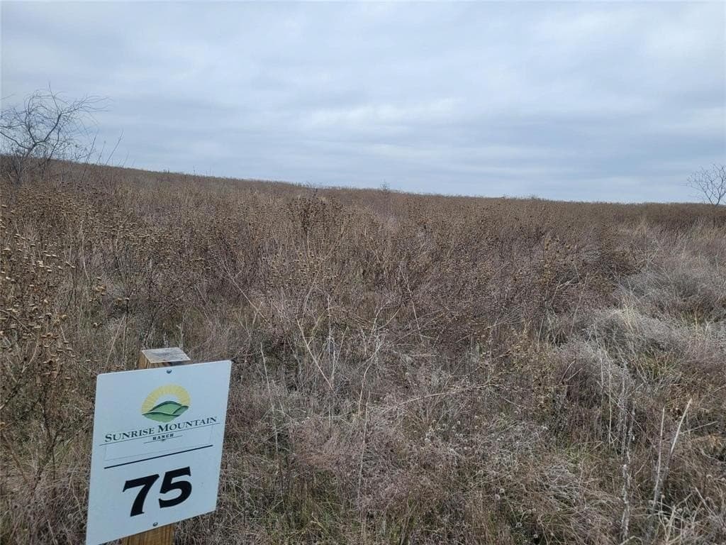 4.47 acres in Erath County - photo 6