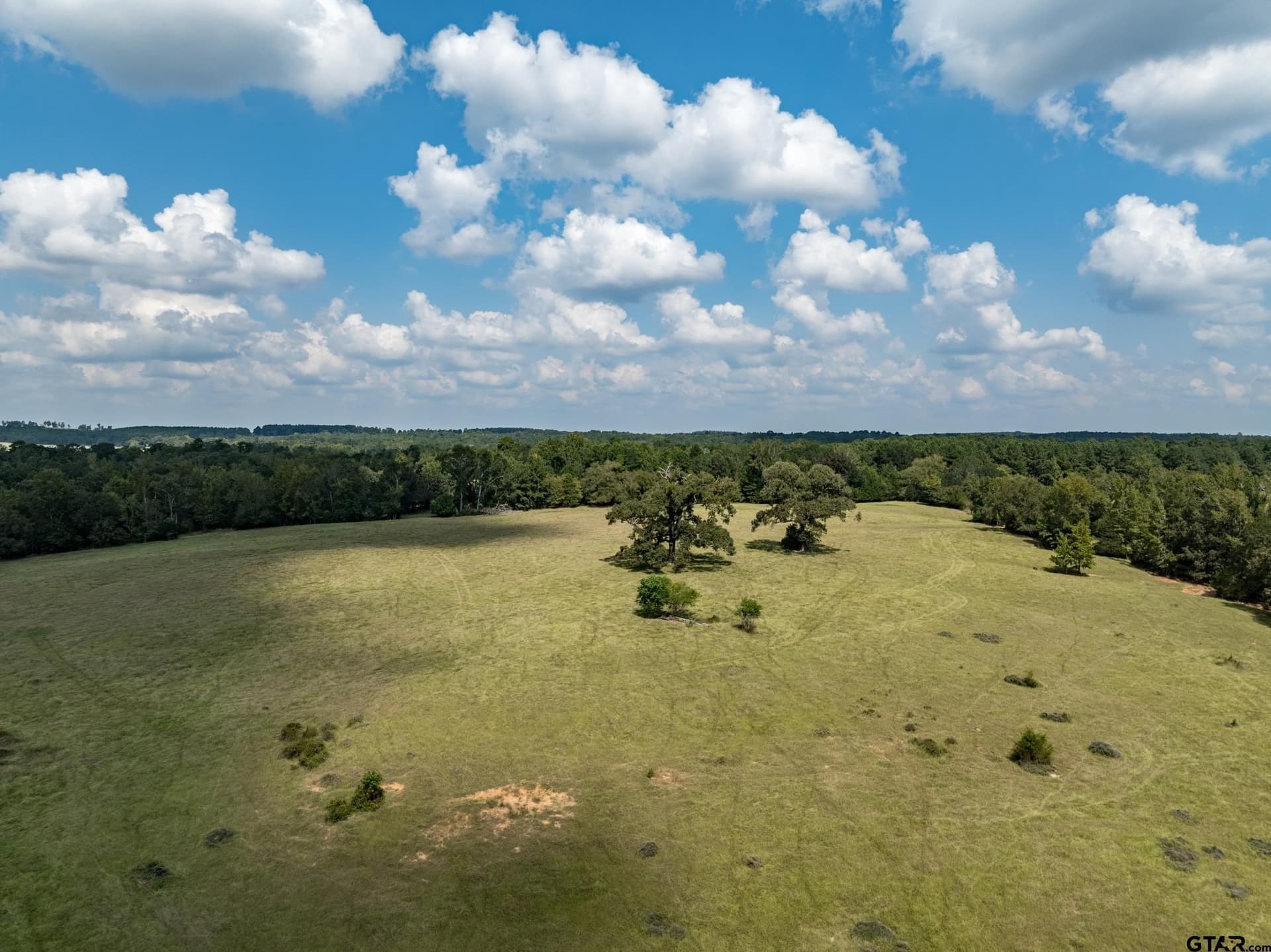 14.8 acres in Anderson County - photo 9