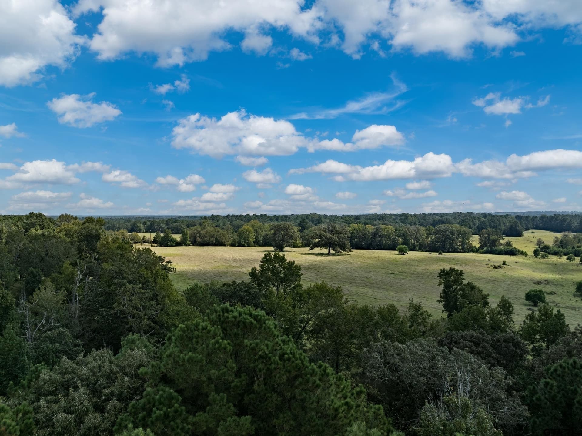 14.8 acres in Anderson County - photo 10