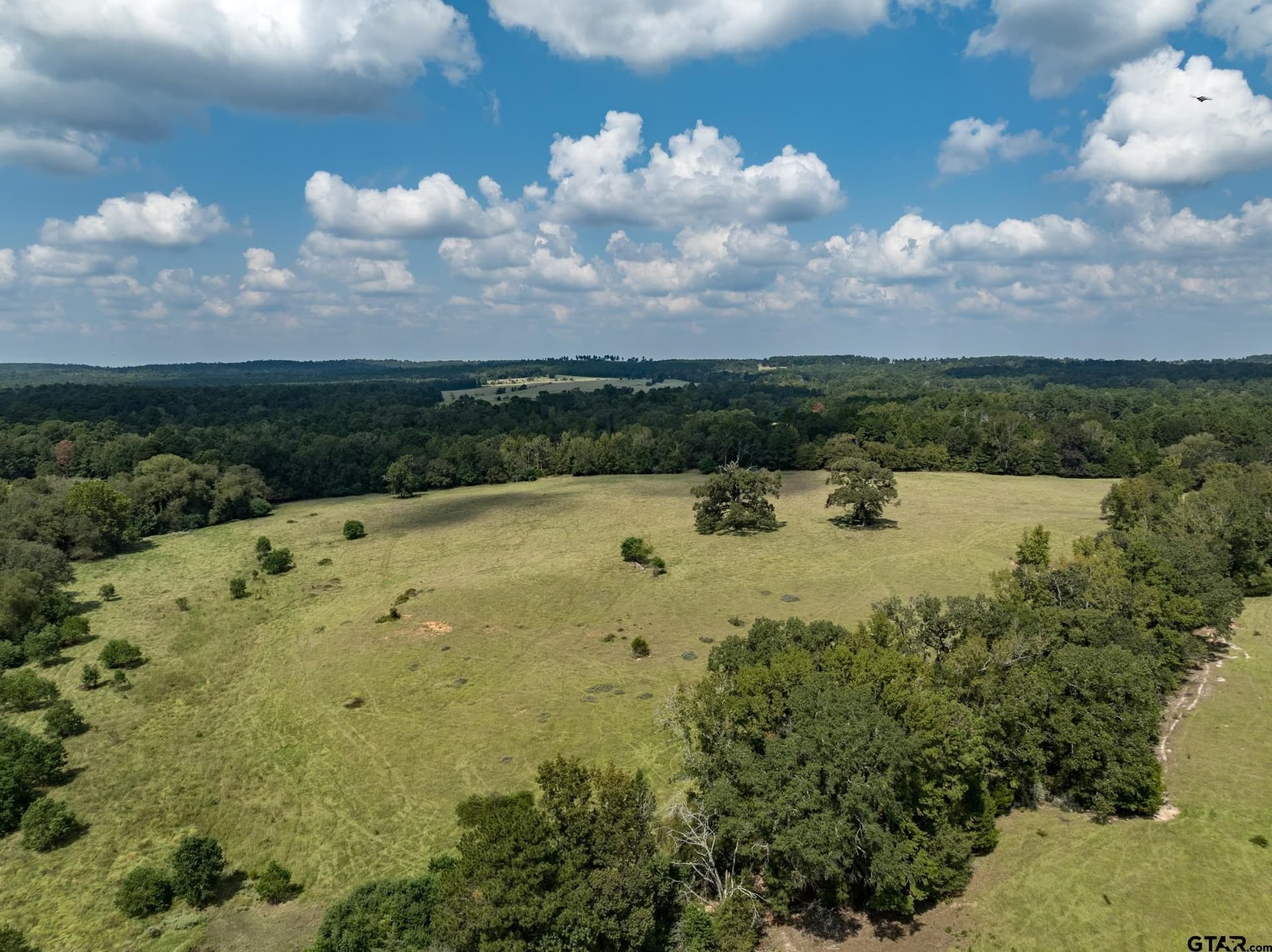 14.8 acres in Anderson County - photo 13