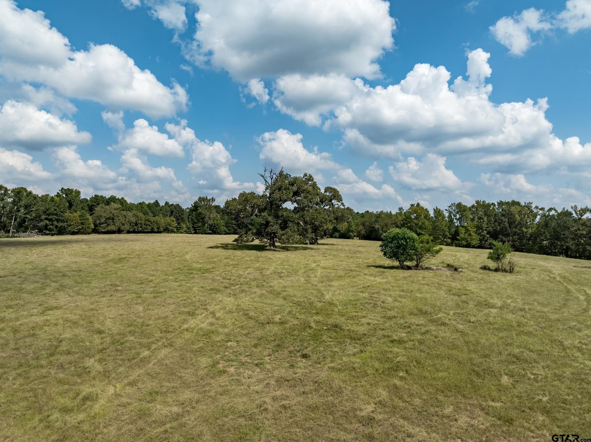 14.8 acres in Anderson County - photo 8
