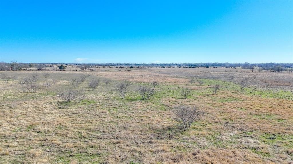 5.03 acres in Navarro County - photo 4