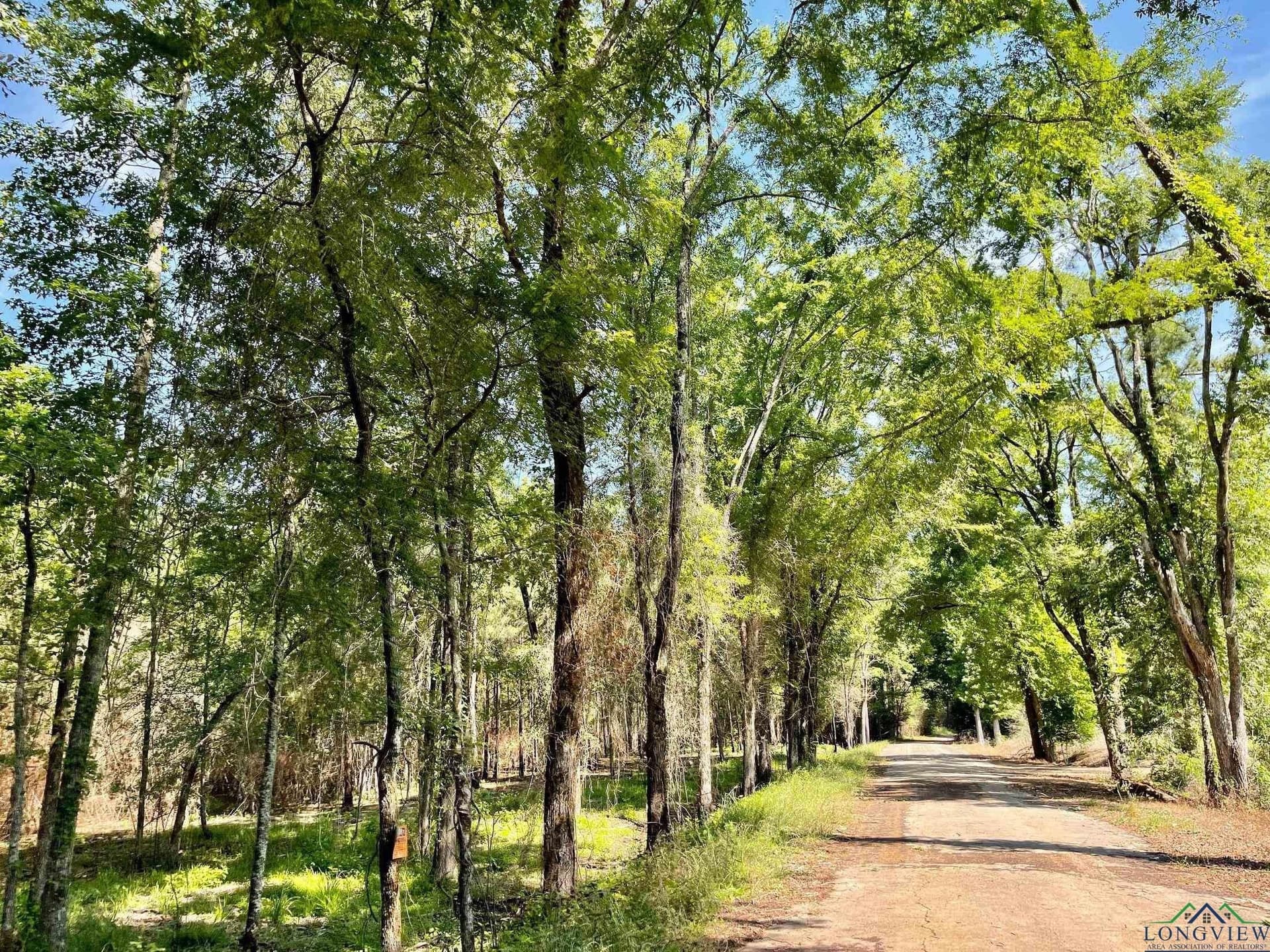 2.15 acres in Marion County - photo 5