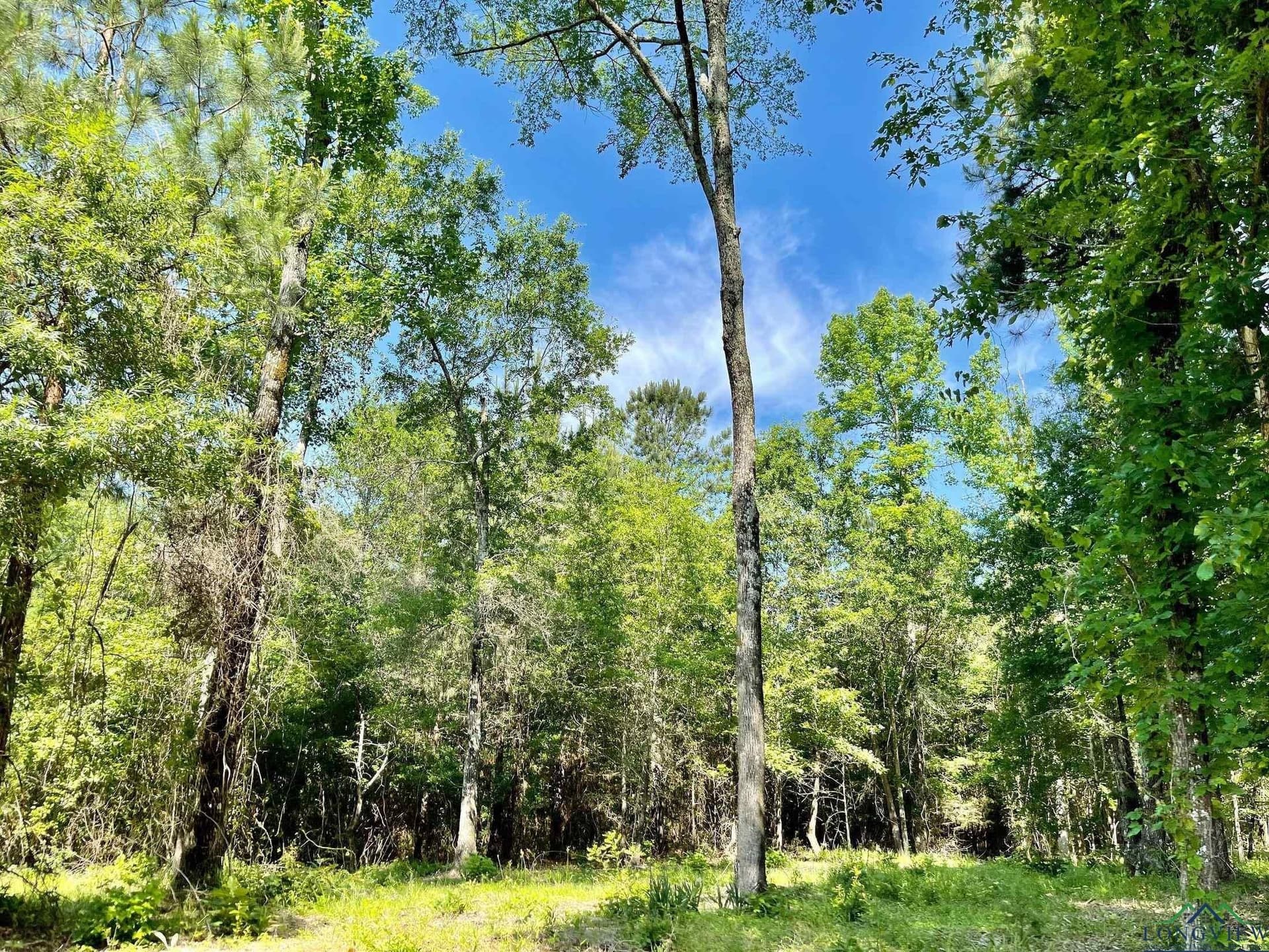 2.15 acres in Marion County - photo 4