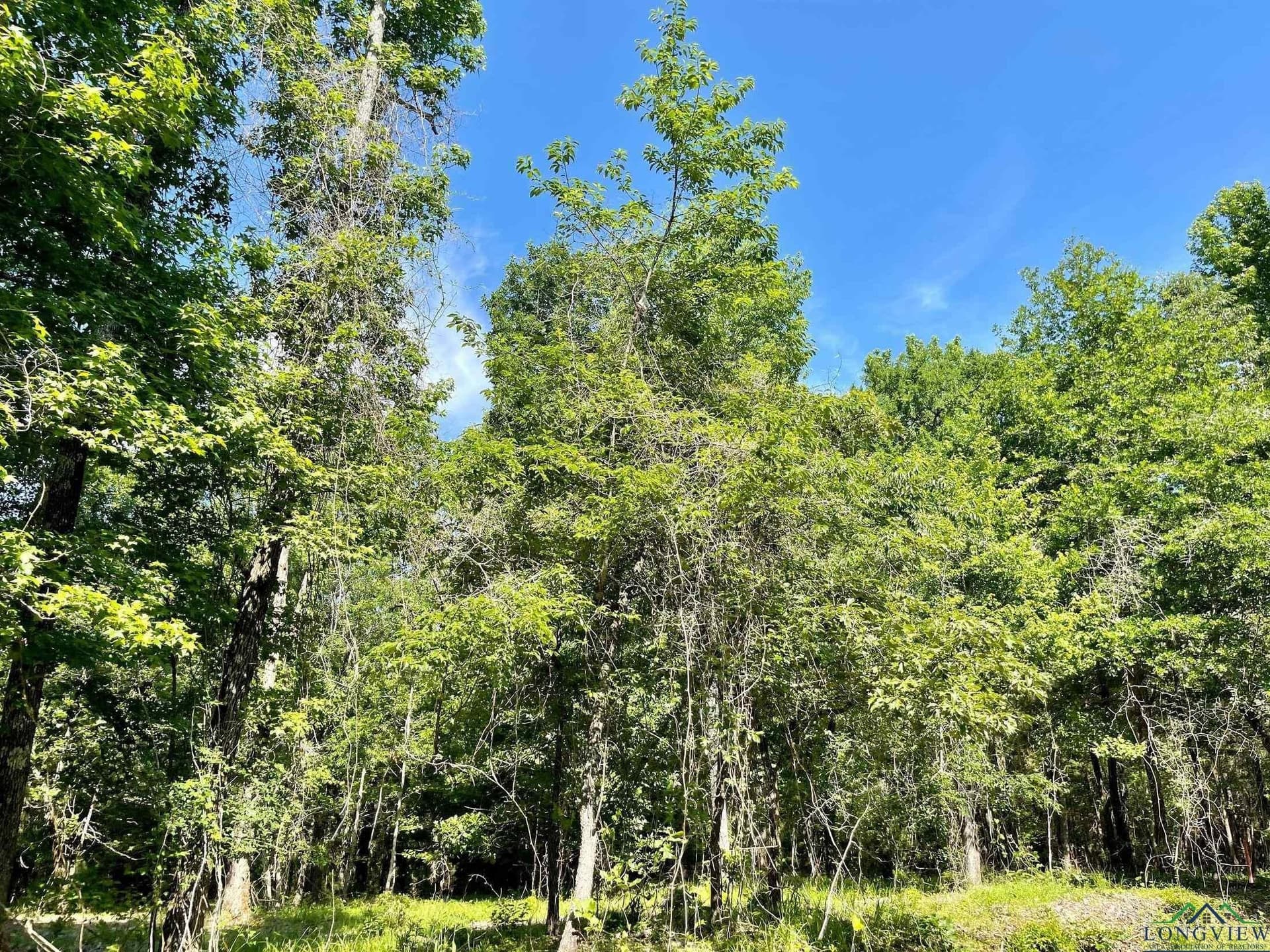 2.15 acres in Marion County - photo 3