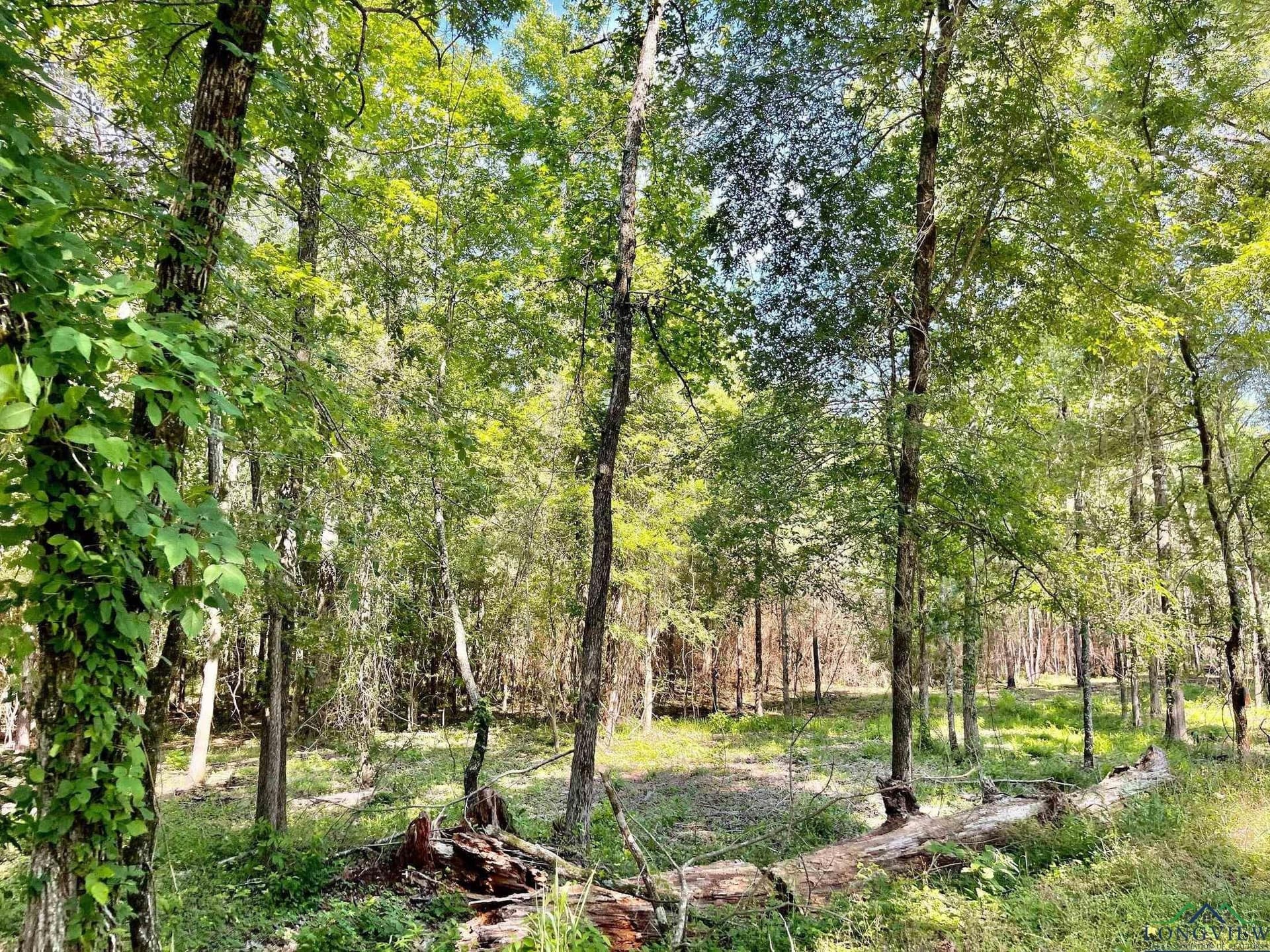 2.15 acres in Marion County - photo 8