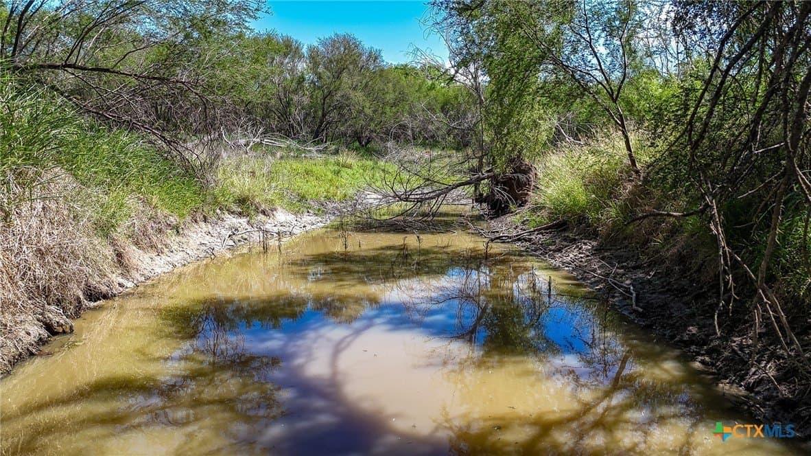 75 acres in Live Oak County - photo 7