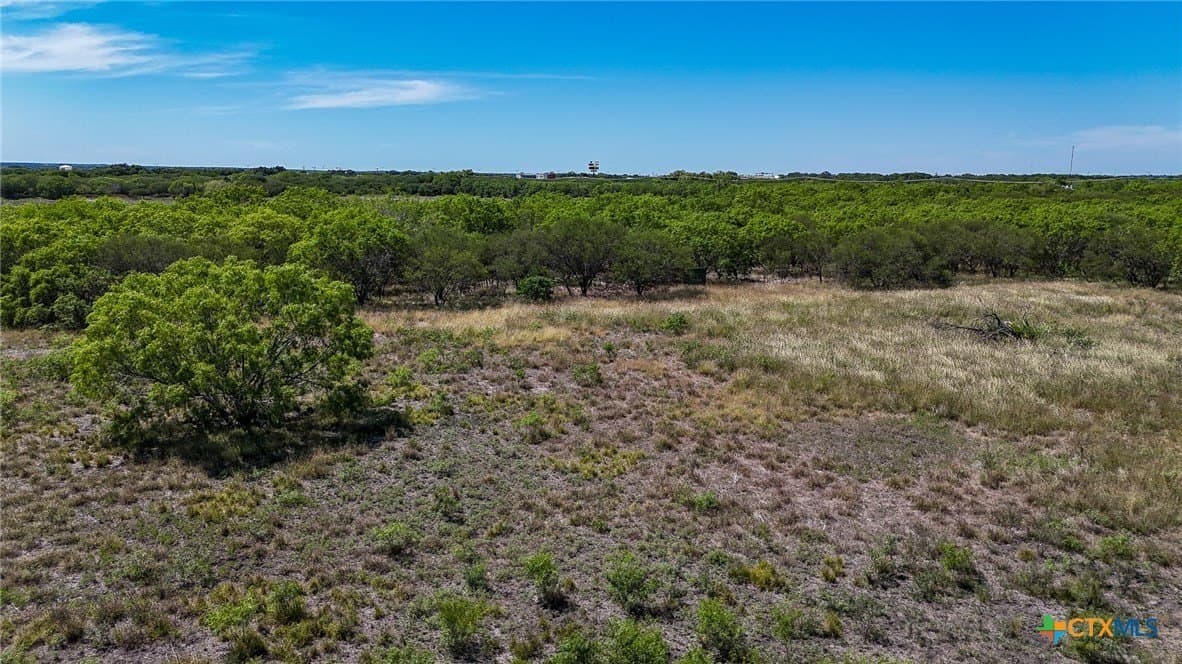 75 acres in Live Oak County - photo 6