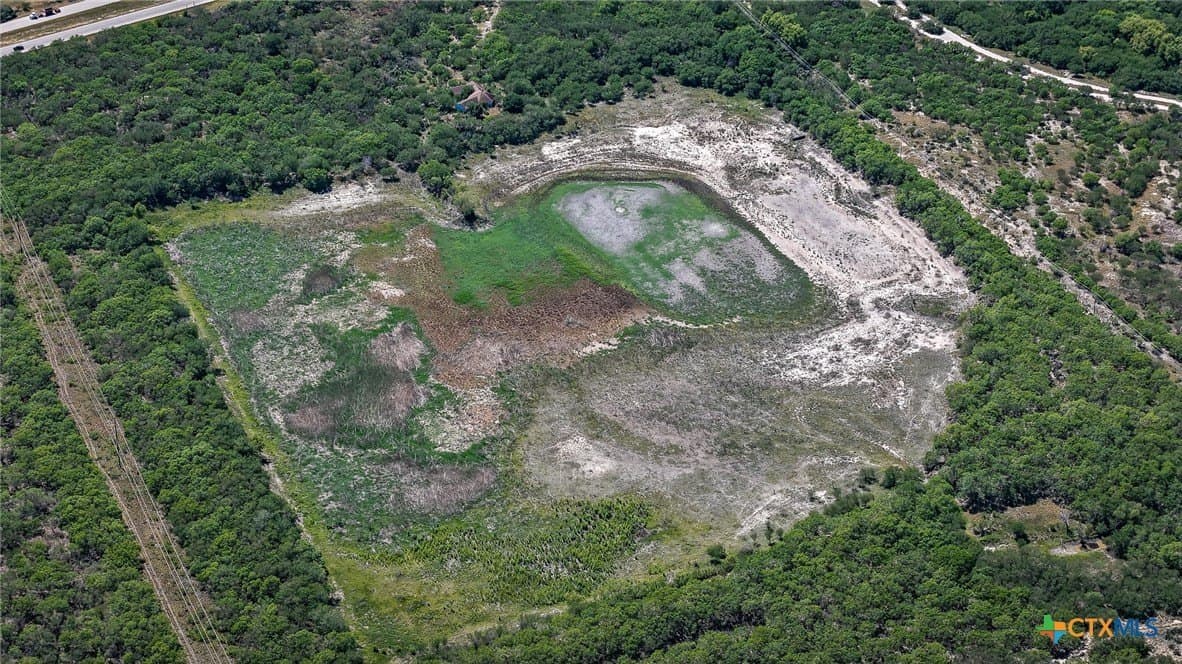 75 acres in Live Oak County - photo 3