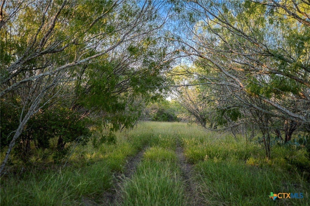 75 acres in Live Oak County - photo 19