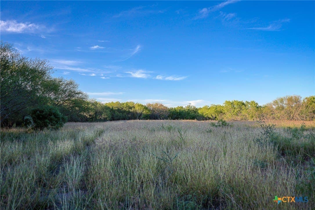 75 acres in Live Oak County - photo 22