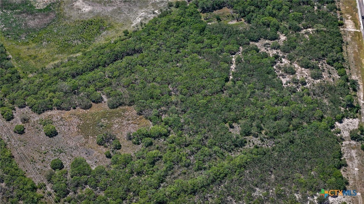 75 acres in Live Oak County - photo 9
