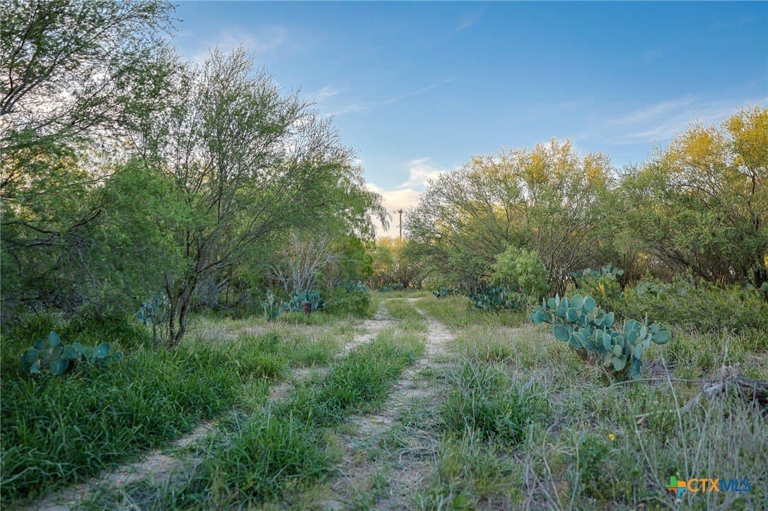 75 acres in Live Oak County - photo 33