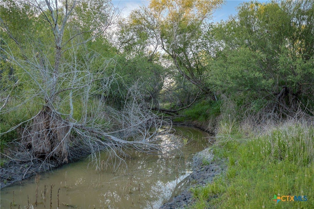75 acres in Live Oak County - photo 31