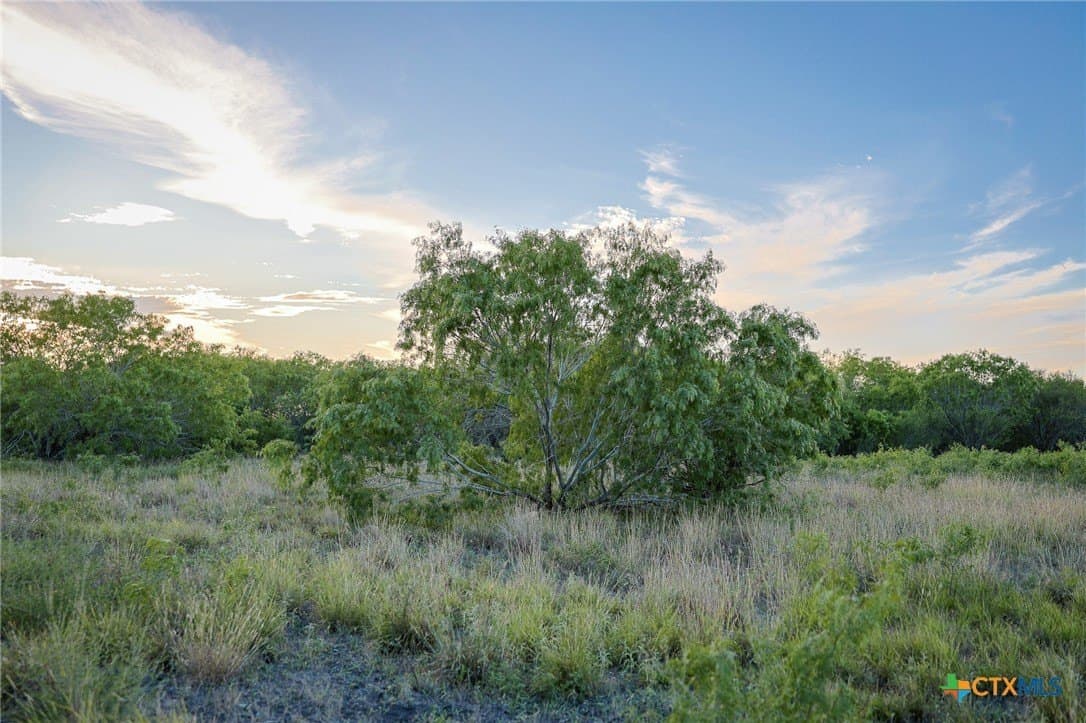 75 acres in Live Oak County - photo 25
