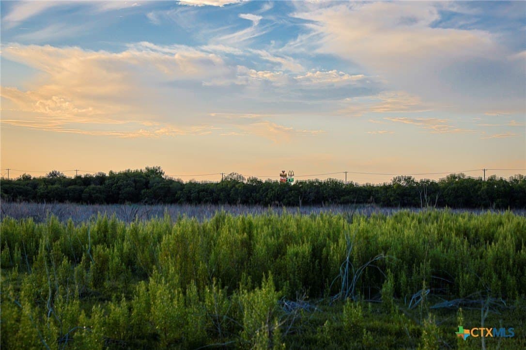 75 acres in Live Oak County - photo 26