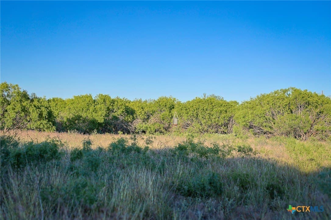 75 acres in Live Oak County - photo 21