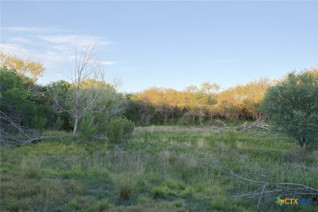 75 acres in Live Oak County - photo 30