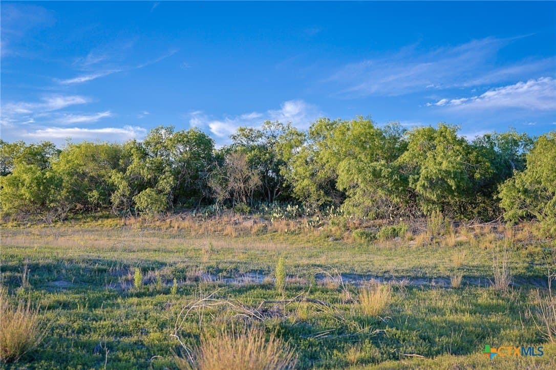 75 acres in Live Oak County - photo 27