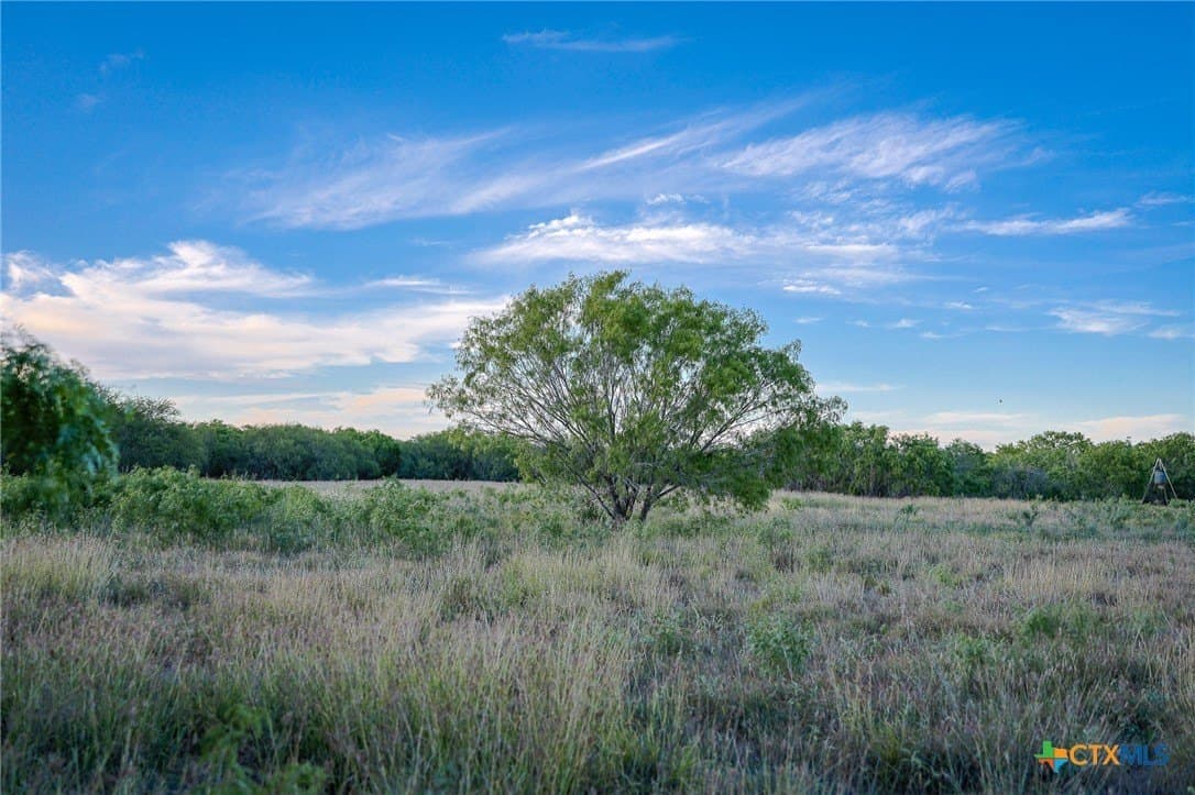 75 acres in Live Oak County - photo 24