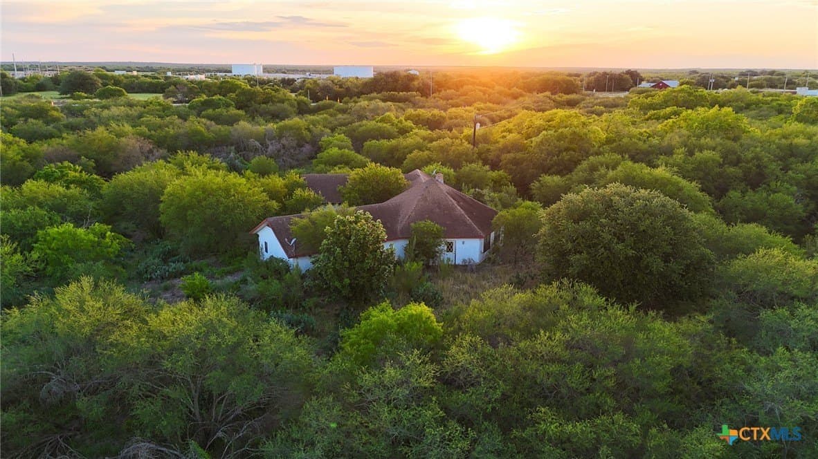 75 acres in Live Oak County - photo 11