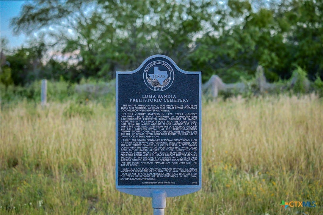75 acres in Live Oak County - photo 35