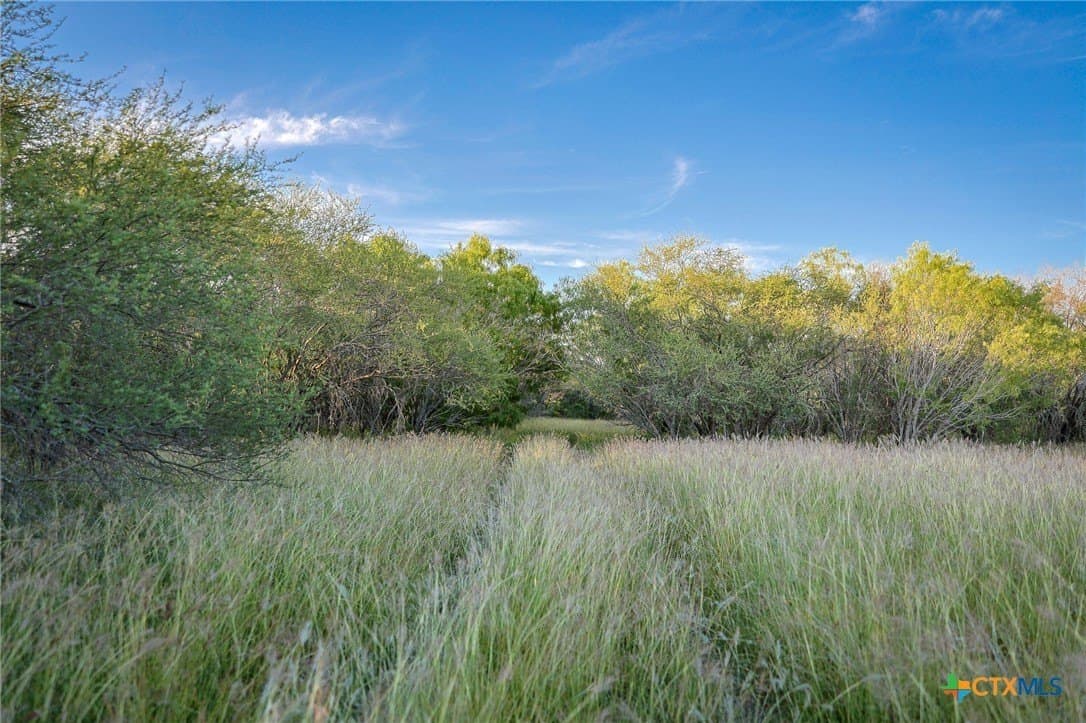 75 acres in Live Oak County - photo 17