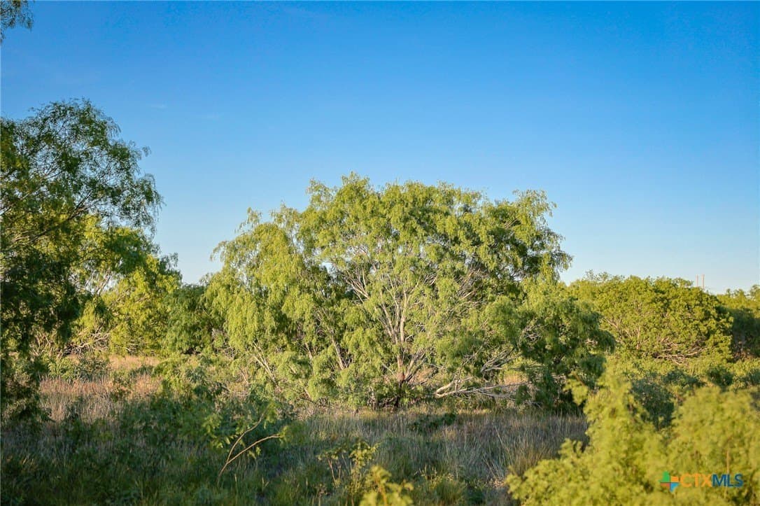 75 acres in Live Oak County - photo 23