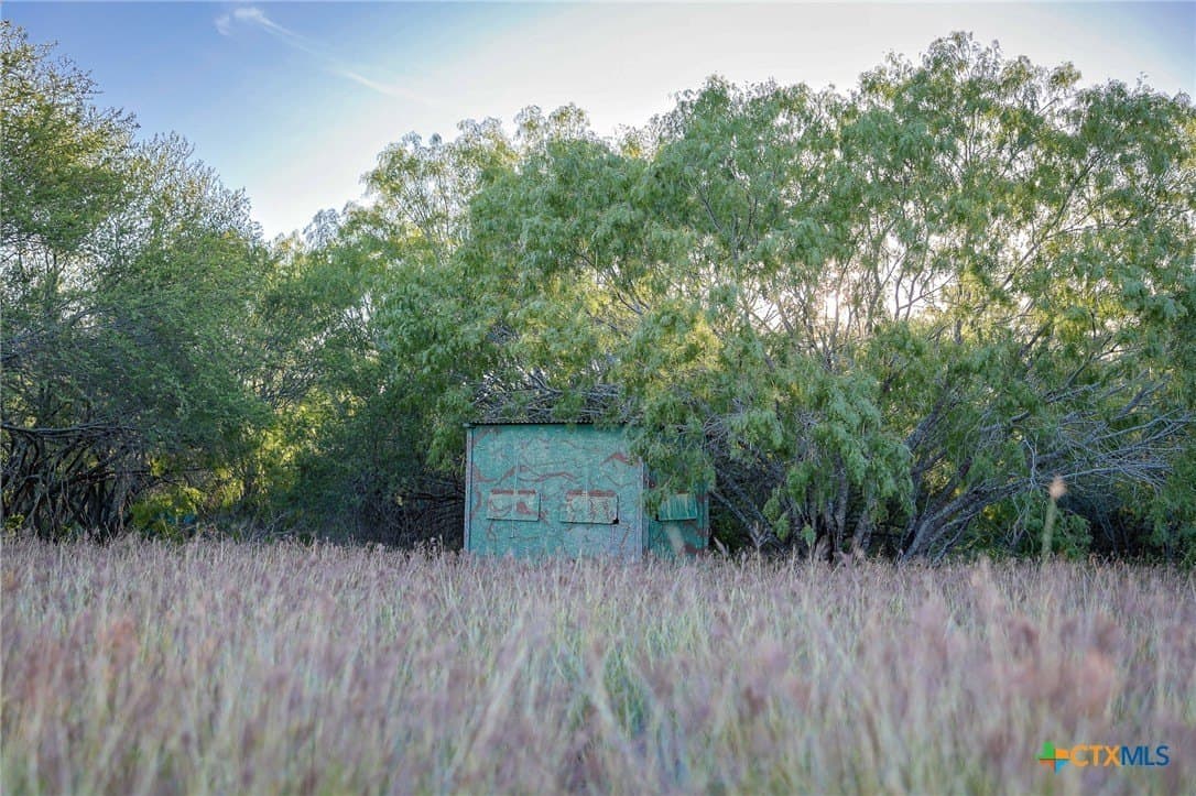 75 acres in Live Oak County - photo 20