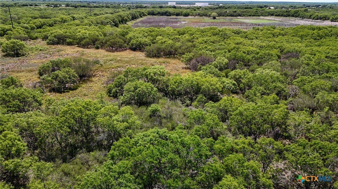 75 acres in Live Oak County - photo 5