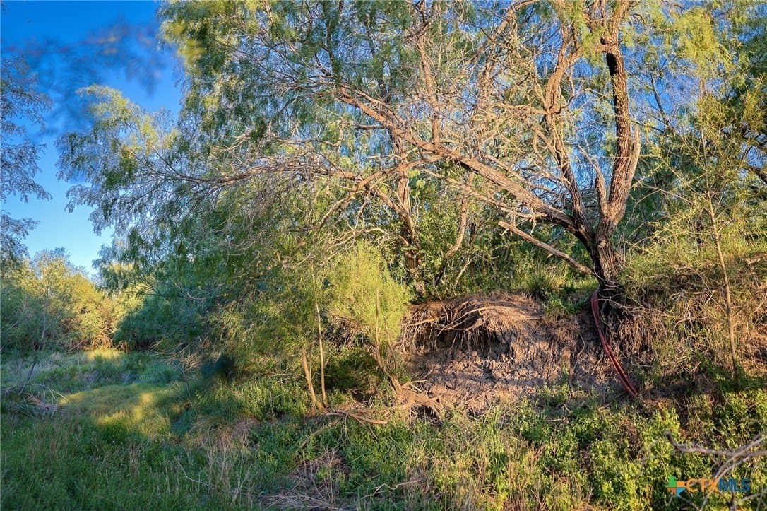 75 acres in Live Oak County - photo 28