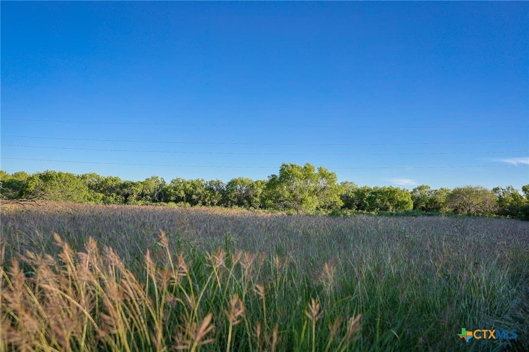 75 acres in Live Oak County - photo 16