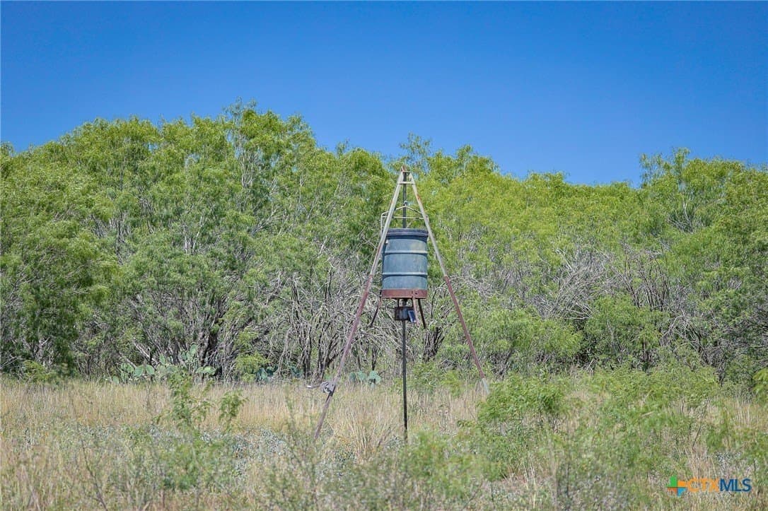 75 acres in Live Oak County - photo 15