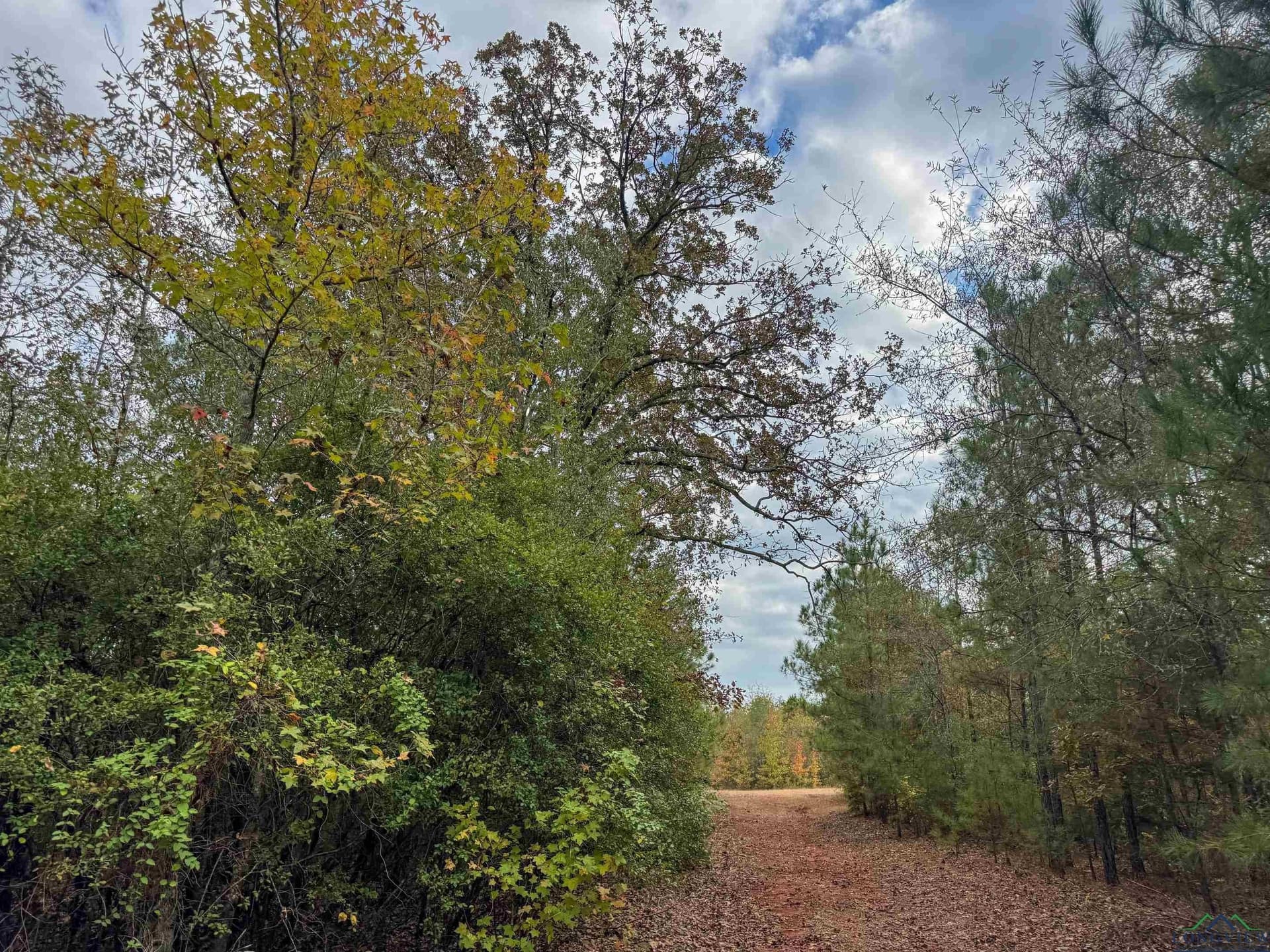 92.41 acres in Cass County - photo 23