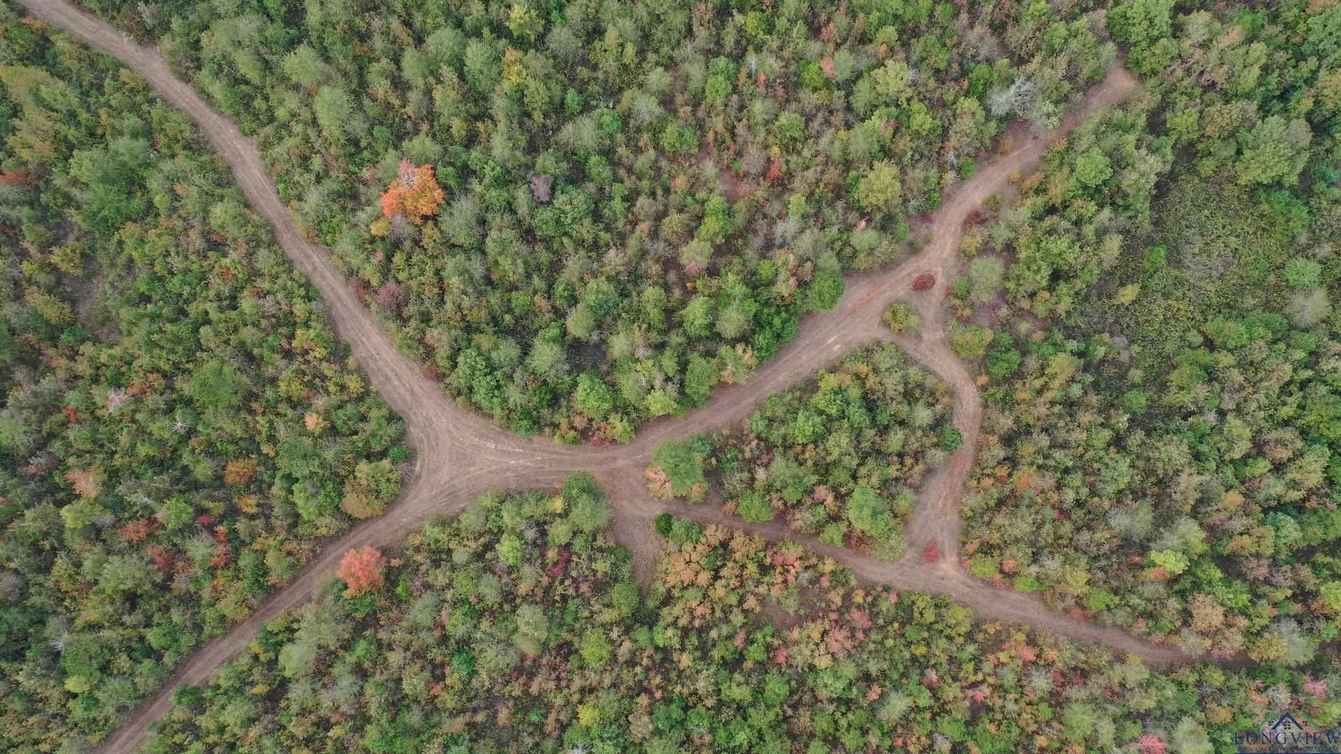 92.41 acres in Cass County - photo 12