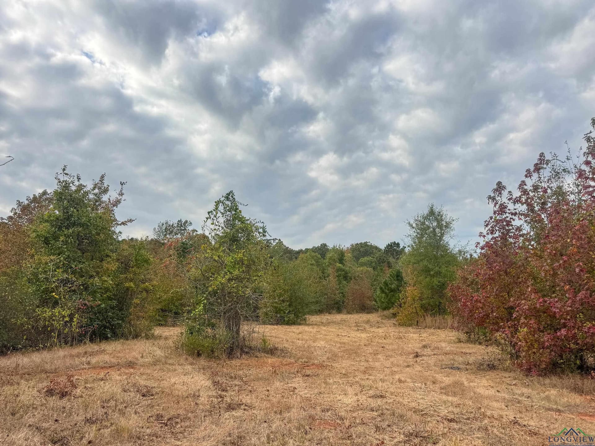 92.41 acres in Cass County - photo 15