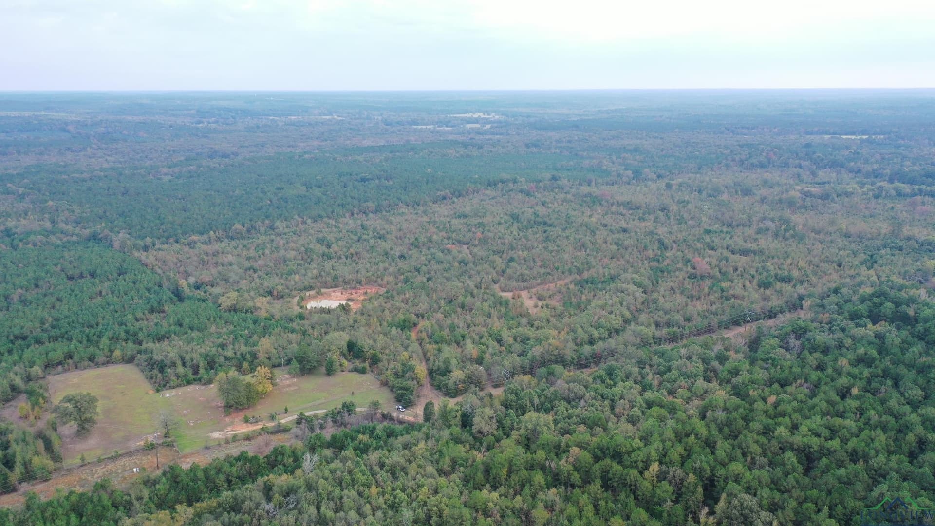 92.41 acres in Cass County - photo 6