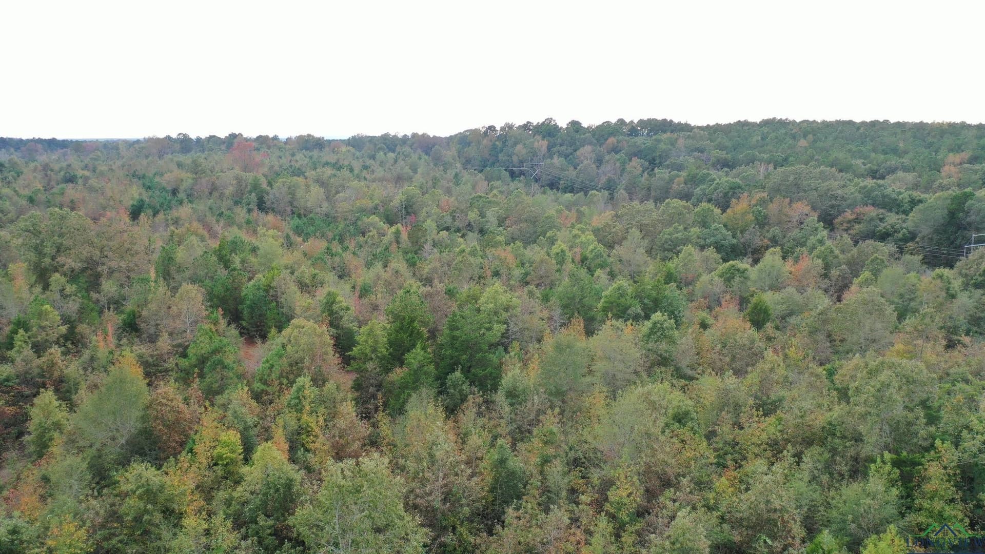 92.41 acres in Cass County - photo 9