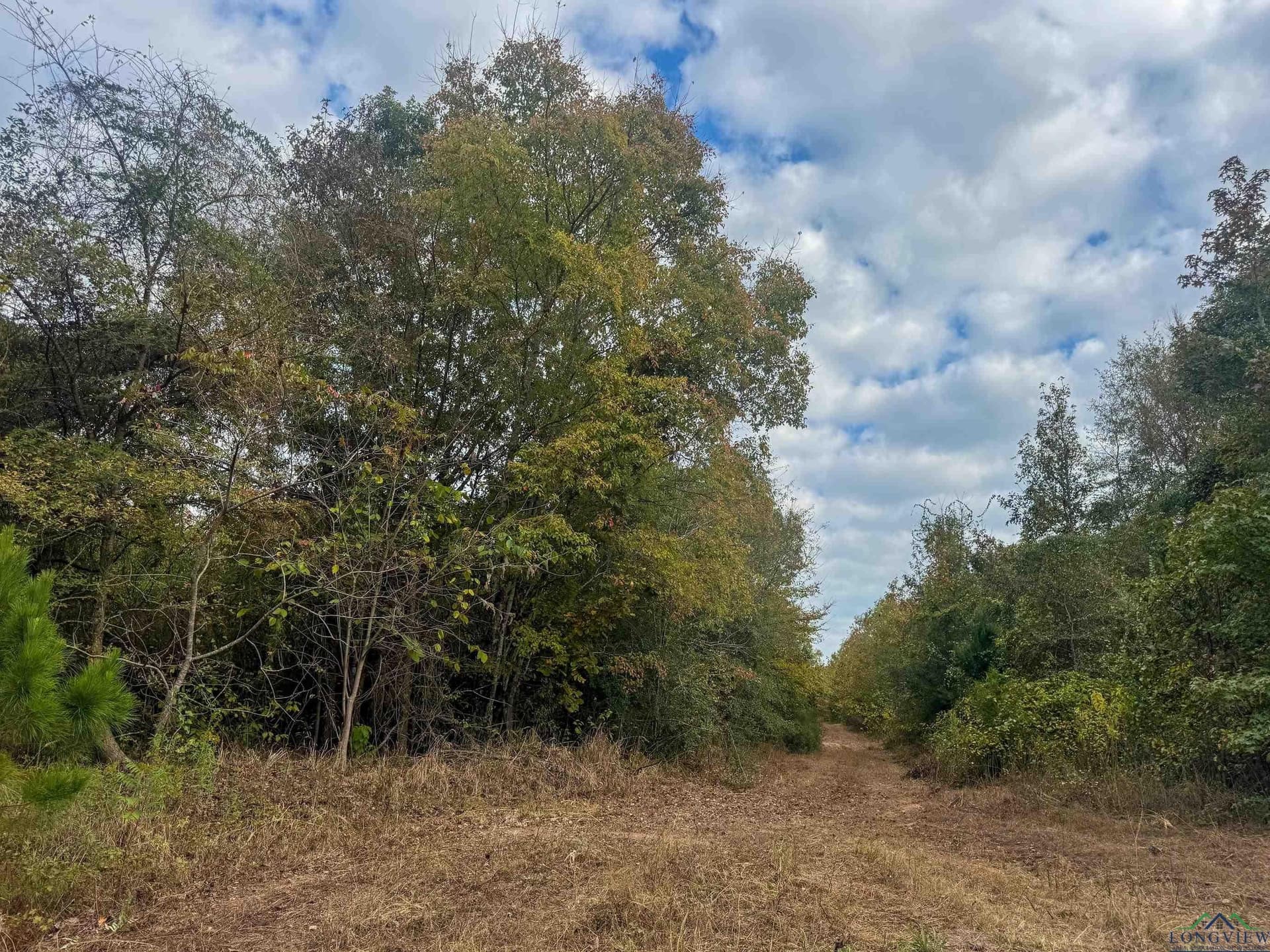 92.41 acres in Cass County - photo 19
