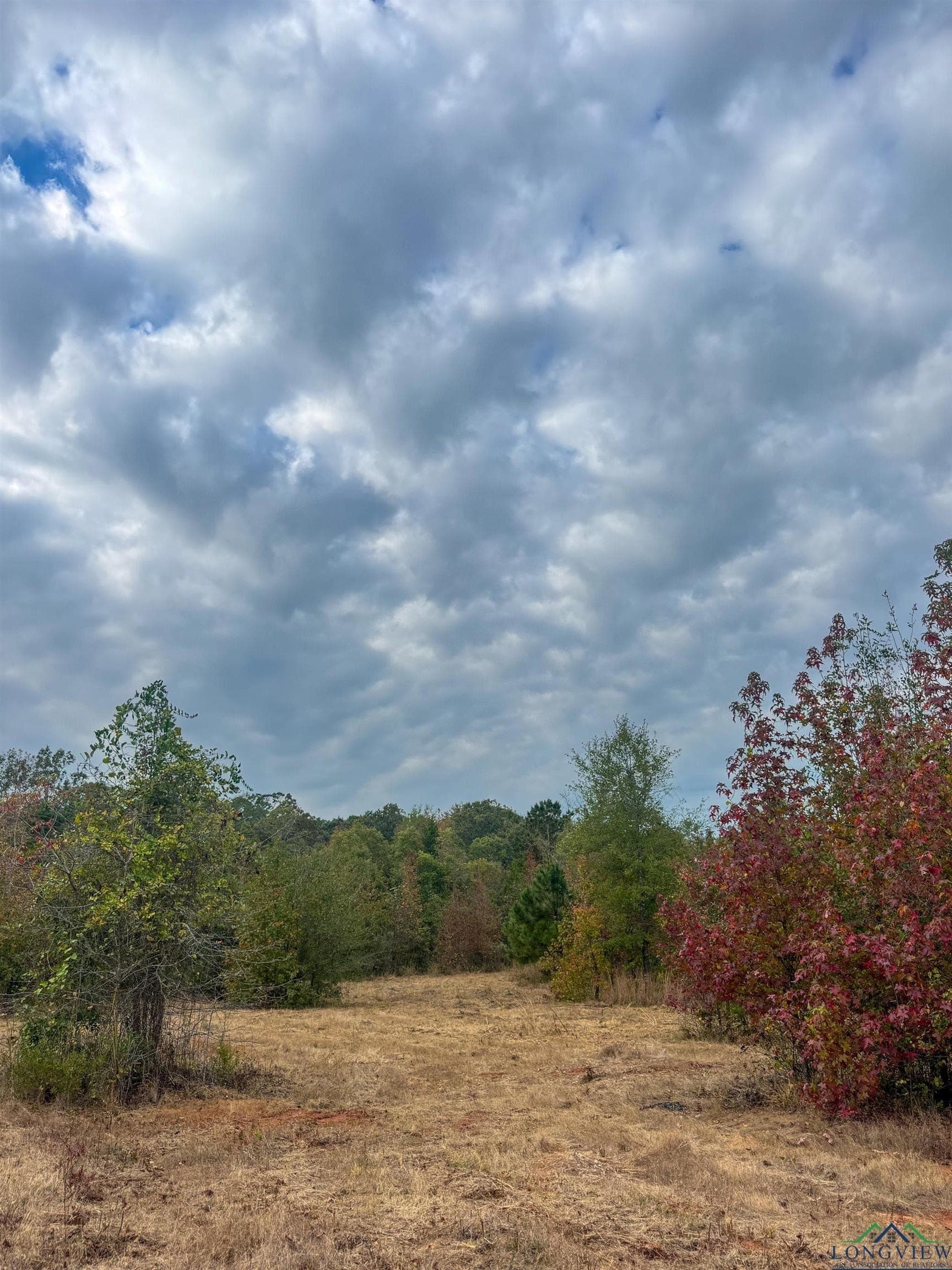 92.41 acres in Cass County - photo 8
