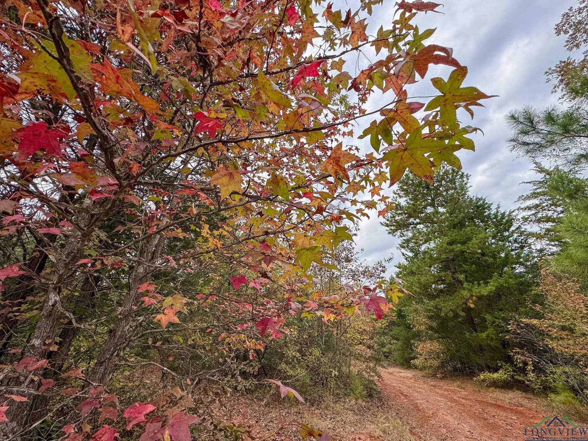92.41 acres in Cass County - photo 3