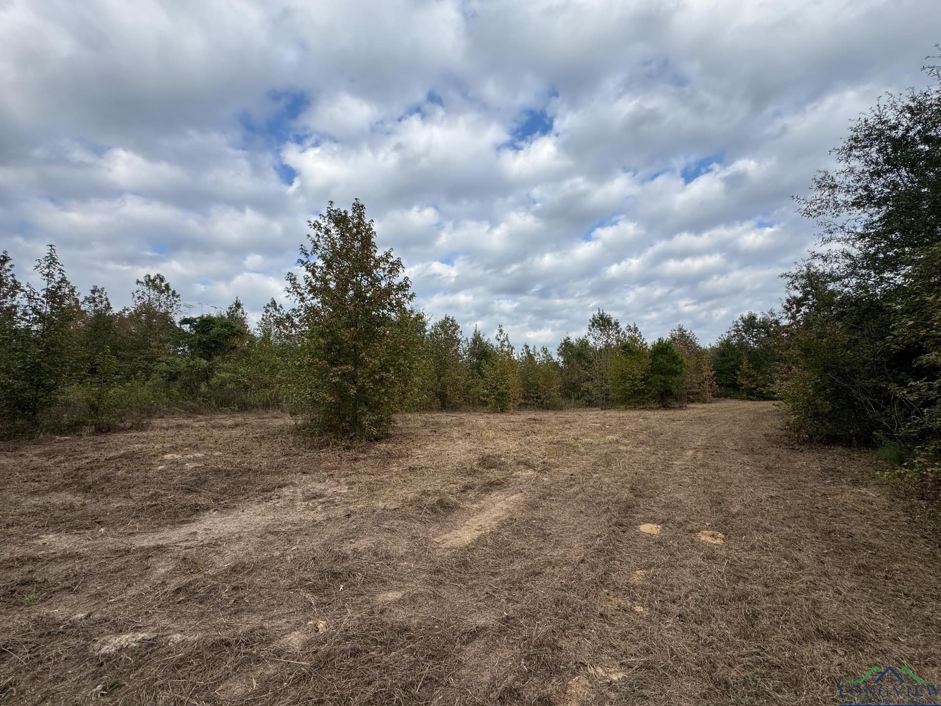 92.41 acres in Cass County - photo 18