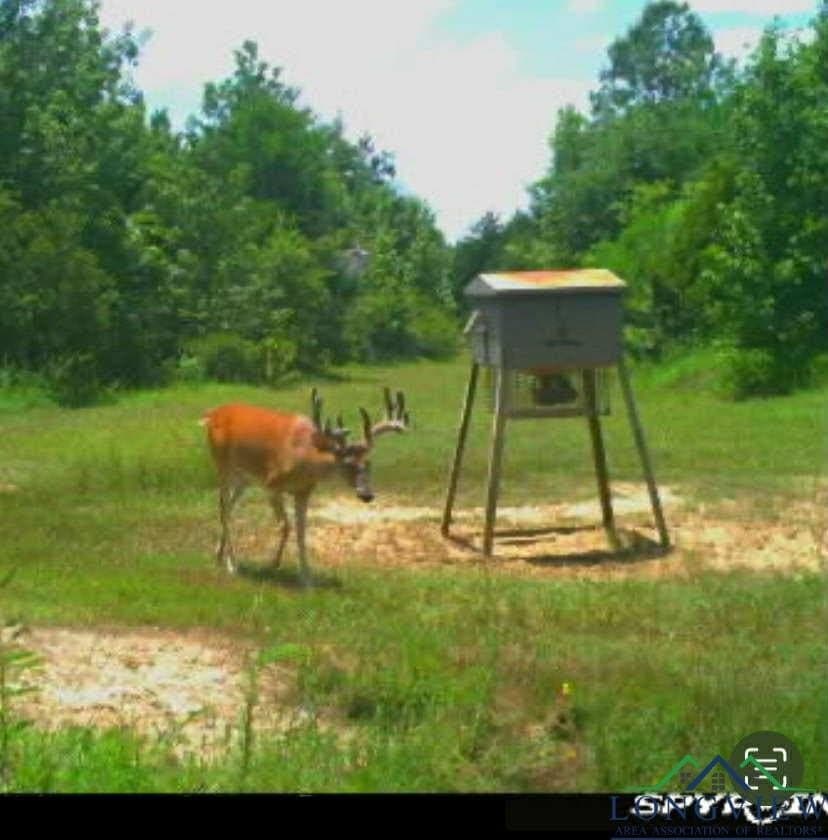 92.41 acres in Cass County - photo 28