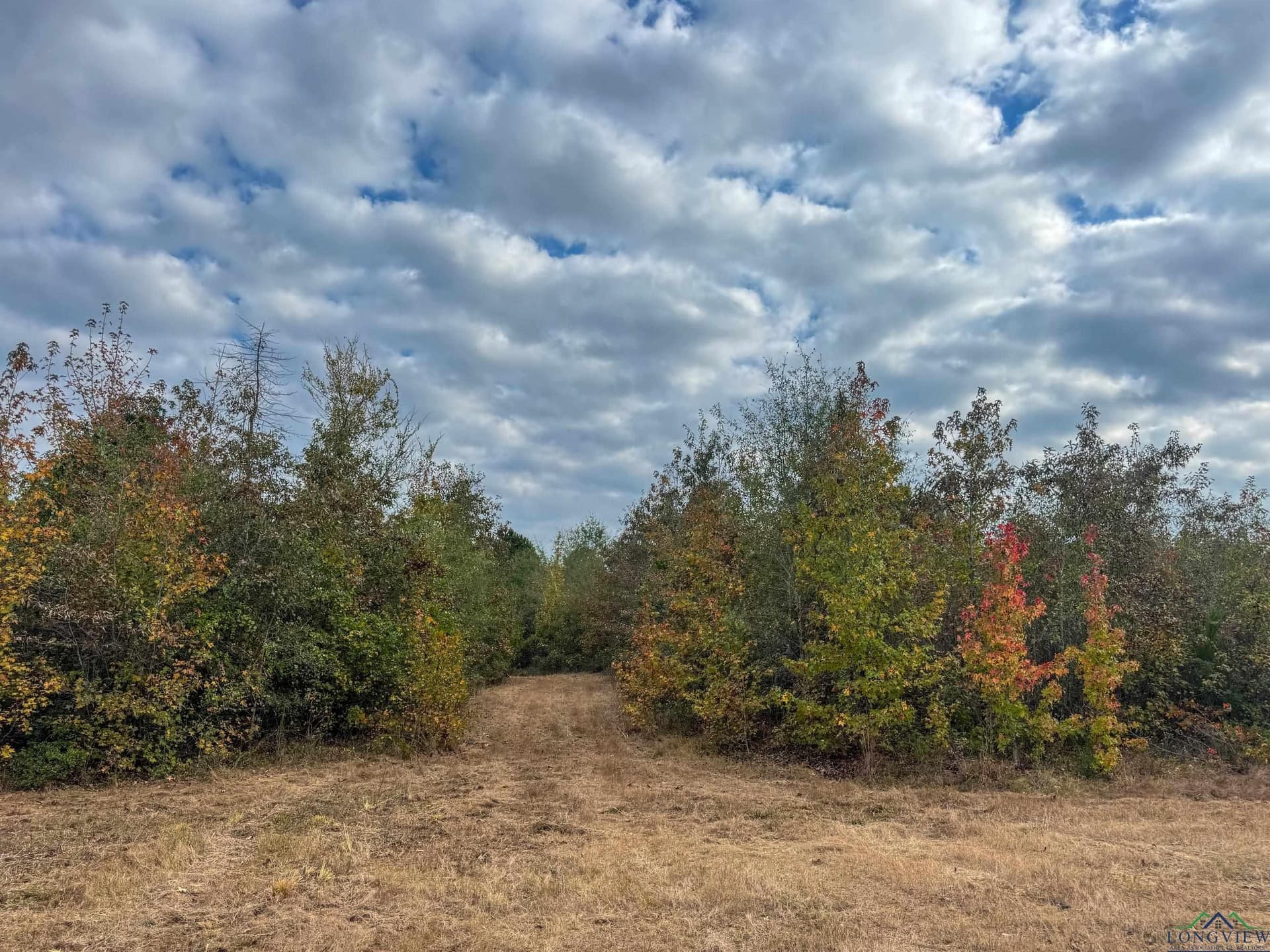 92.41 acres in Cass County - photo 20