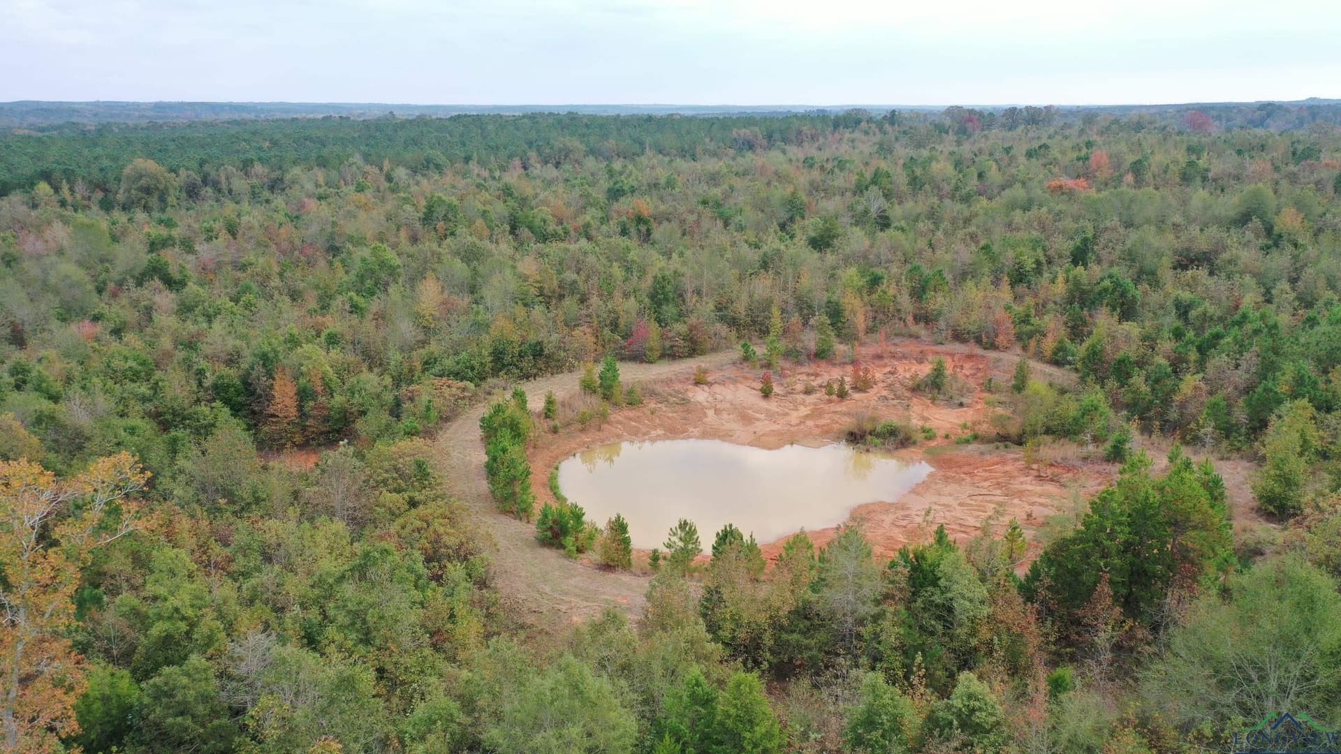 92.41 acres in Cass County - photo 10
