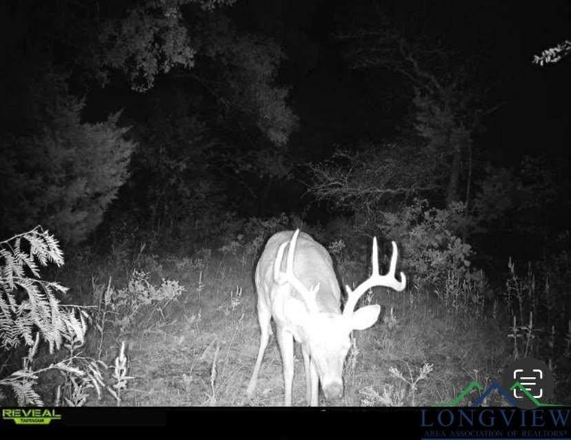 92.41 acres in Cass County - photo 29