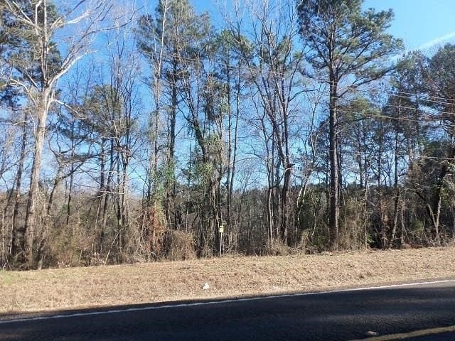 42 acres in Gregg County - photo 3