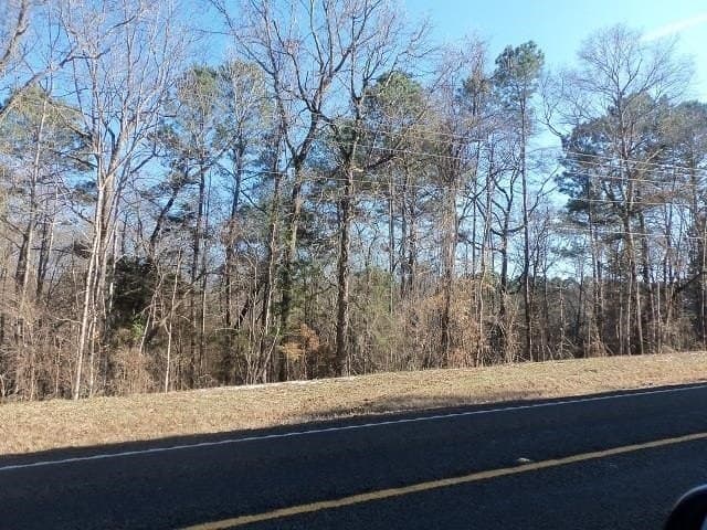 42 acres in Gregg County - photo 2